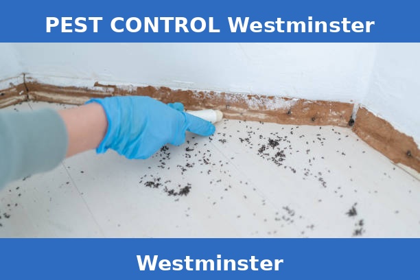 PEST CONTROL Westminster